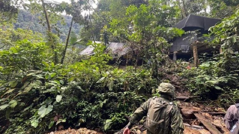 Descubren laboratorio para procesar cocaina en una selva de Ecuador | Noticias de hoy en De Último Minuto