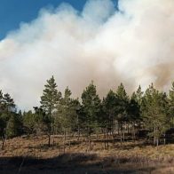 Medio Ambiente asegura neutralizarán incendio en Valle Nuevo