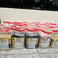 Autoridades dominicanas ocupan 123 kilos de cocaína procedentes de Colombia