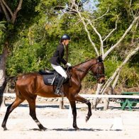 Puntacana Equestrian Center realiza 1ra y 2da competencia nacional de adiestramiento en Puntacana Resort & Club