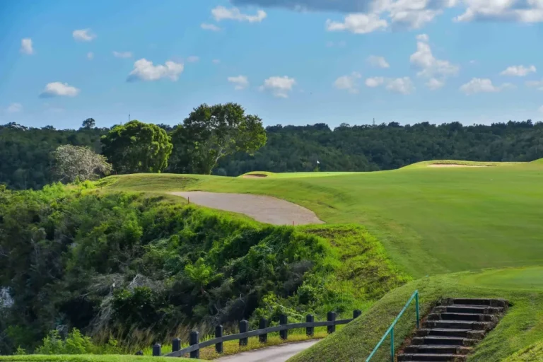 dye fore golf 7 1 | Noticias de hoy en De Último Minuto