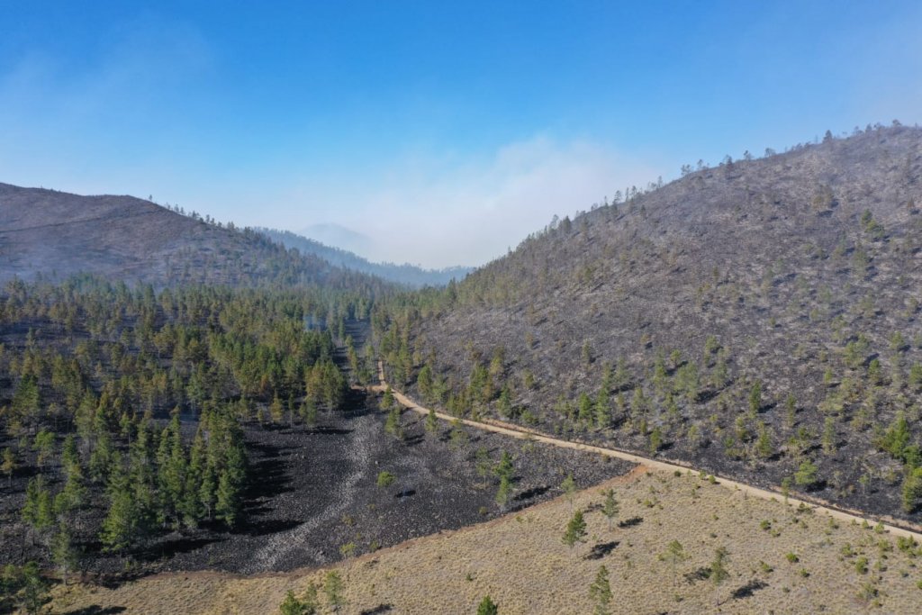 Medio Ambiente da por controlados o extinguidos los incendios forestales