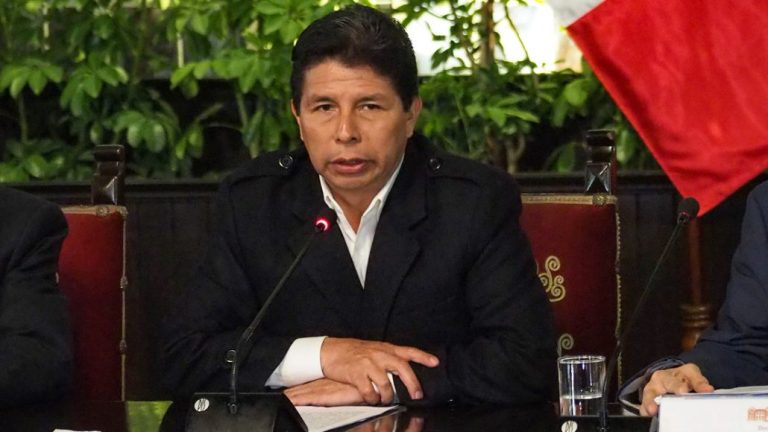 pedro castillo | Noticias de hoy en De Último Minuto