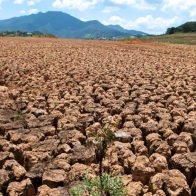 La tierra nos necesita: El 17 de junio se conmemora el Día Mundial de Lucha contra la Desertificación y la Sequía