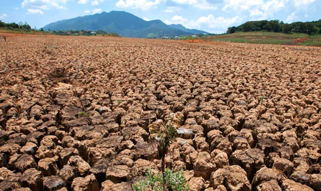 La tierra nos necesita: El 17 de junio se conmemora el Día Mundial de Lucha contra la Desertificación y la Sequía