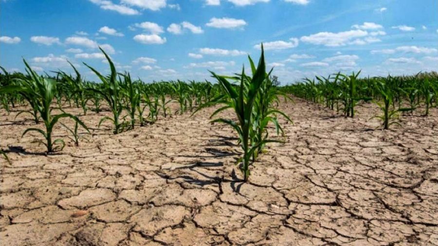 La tierra nos necesita: El 17 de junio se conmemora el Día Mundial de Lucha contra la Desertificación y la Sequía