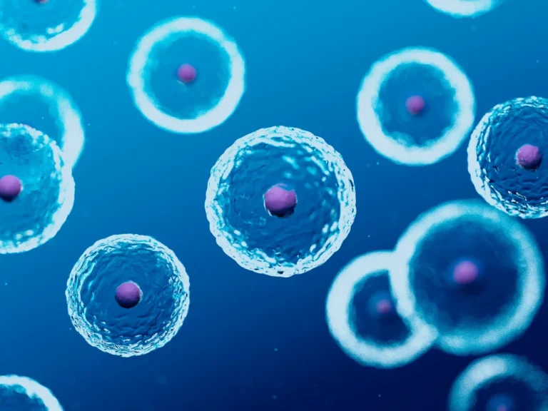 scieproscience photo library | Noticias de hoy en De Último Minuto