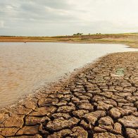 La tierra nos necesita: El 17 de junio se conmemora el Día Mundial de Lucha contra la Desertificación y la Sequía