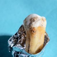 El ADN de bacterias de la Edad de Piedra abre la puerta a nuevos fármacos