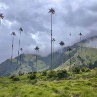Disney invita a los viajeros a conocer los ambientes de "Encanto" en Colombia