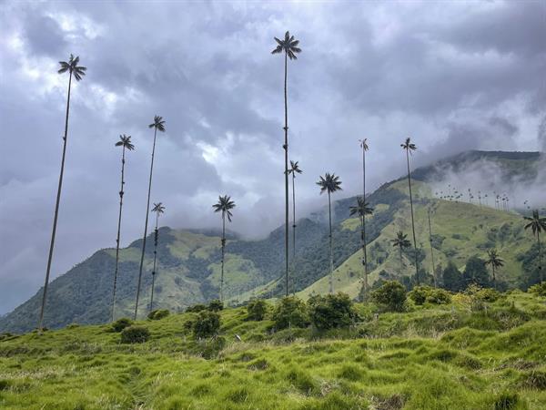 Disney invita a los viajeros a conocer los ambientes de "Encanto" en Colombia