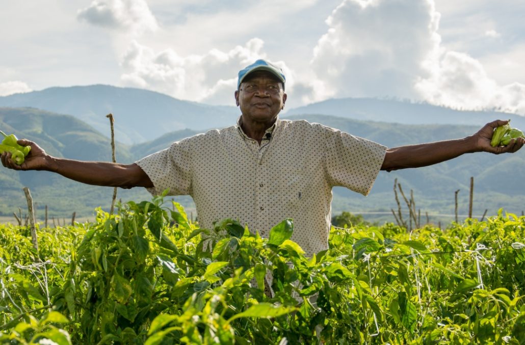 Día Nacional del agricultor