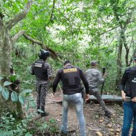 PN desmantela punto de droga en Loma de Cabrera
