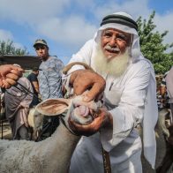 Egipto vive la fiesta del cordero con pocos sacrificios por la subida de precios