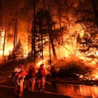 EE.UU. avisa del aumento de emergencias por incendios ante subida de la temperatura
