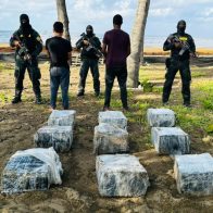 Ocupan 240 paquetes de presunta cocaína en SDE