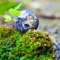 Hoy se conmemora el Día Mundial del Medio Ambiente