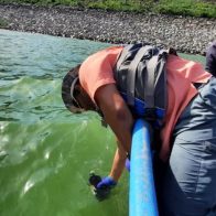 Resultados preliminares: floración de algas pudo provocar muerte de peces en presa de Hatillo