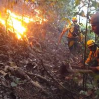 Bomberos forestales trabajan para extinguir incendio registrado en Saltos de Jima