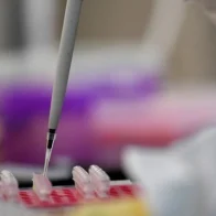 Científicos crean embriones humanos sintéticos con células madre sin óvulos ni esperma