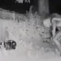 Es una animación 3D el vídeo viral sobre alien escondido en casa de Las Vegas