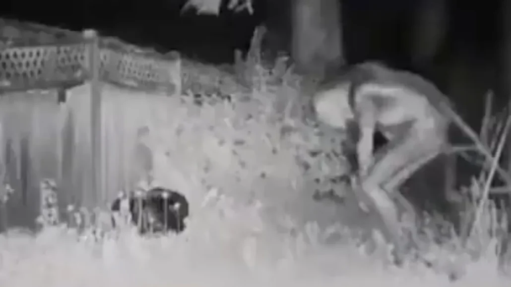 Es una animación 3D el vídeo viral sobre alien escondido en casa de Las Vegas