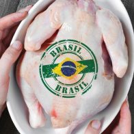 Brasil pide a Japón la reanudación de las importaciones de pollo tras casos de gripe aviar