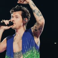 Harry Styles fue golpeado por un objeto durante concierto en Viena