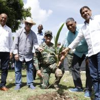 Ministerios de Agricultura y Defensa inauguran vivero para fortalecer programa de producción de coco