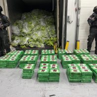 Ocupan 400 paquetes de cocaína camuflados en carga de guineos en Caucedo