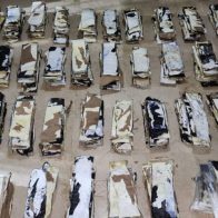 DNCD ocupa 392 láminas de presunta cocaína y desarticula red criminal