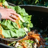 El desperdicio de alimentos genera pérdidas mundiales de 400.000 millones