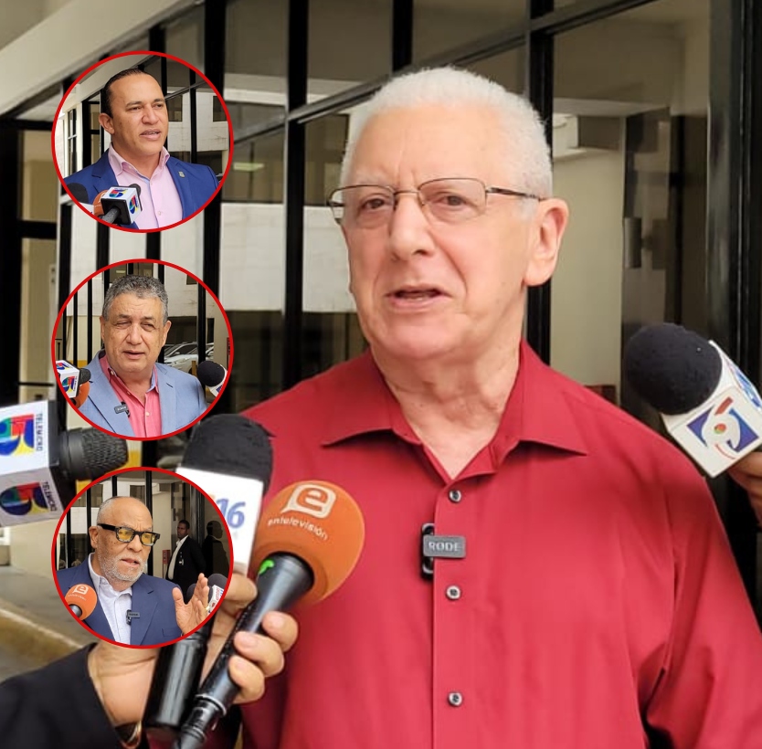 Legisladores afirman JCE ha tomado una "decisión tardía" respecto a proselitismo en precampaña