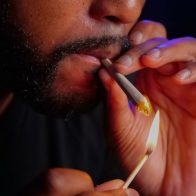 62.3 toneladas métricas de marihuana al año es consumida en Nueva York