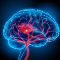 Día Mundial del Cerebro