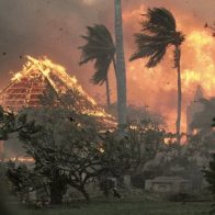 Evacuan miles de personas en Maui por los incendios que están devastando la isla