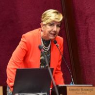 Ginette Bournigal prefiere "que las cosas se queden como están" en el Senado
