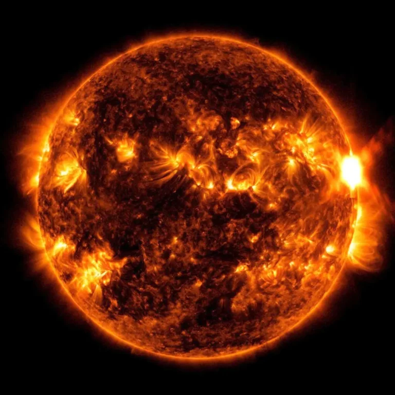 nasa fuerte erupcion solar 1024x1024 1 | Noticias de hoy en De Último Minuto