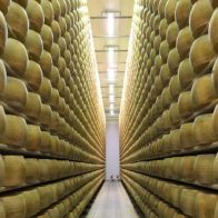Muere un empresario italiano al ser aplastado por 25.000 quesos que cayeron de estantería