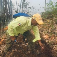 Bomberos forestales