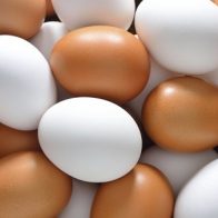 HUEVOS
