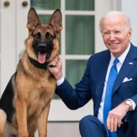 Perro del presidente Biden vuelve a morder un agente del servicio secreto