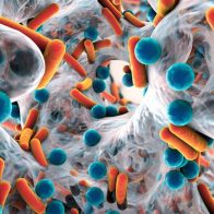Bacteria "come carne" en Luisiana (EEUU) se disparan y dejan 6 muertos