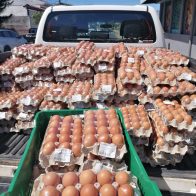 saquean camion de huevos