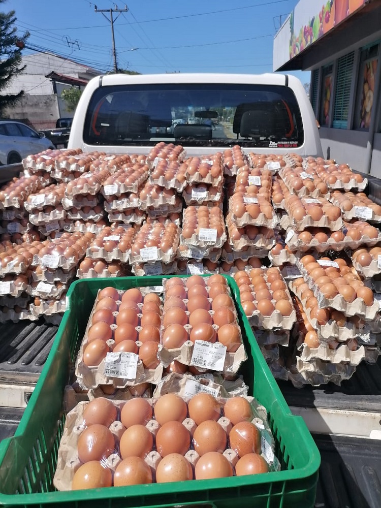 saquean camion de huevos