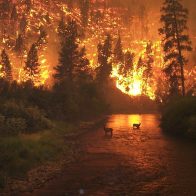 Al menos dos muertos a raíz de incendios forestales en noreste de Australia