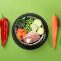 Día Mundial de la Alimentación