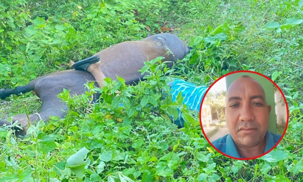 ¡Tragedia! Muere hombre y su caballo electrocutados en María Trinidad Sánchez