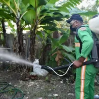 operativo contra el dengue