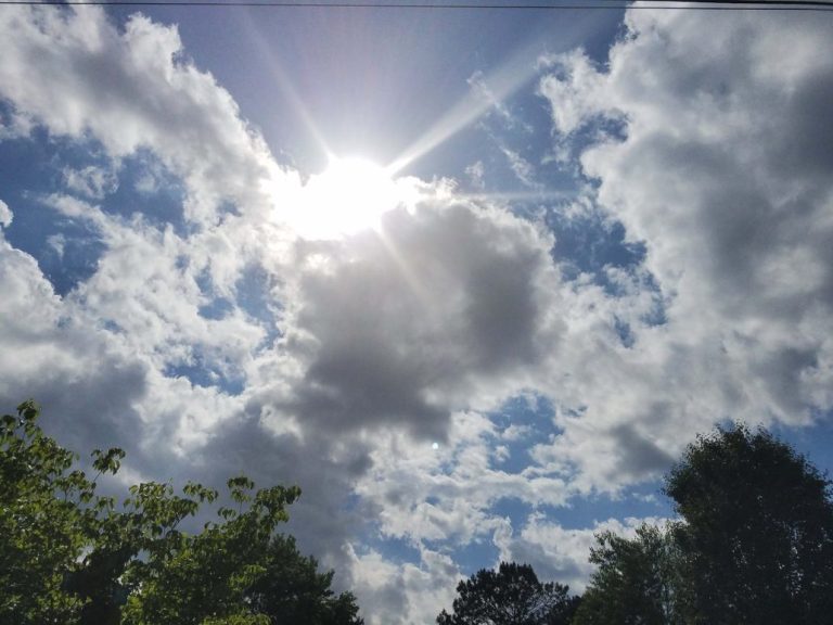 El tiempo | Martes soleado, nubes dispersas y calor en todo el territorio 4 | Noticias de hoy en República Dominicana pexels photo 92875 | Noticias de hoy en De Último Minuto